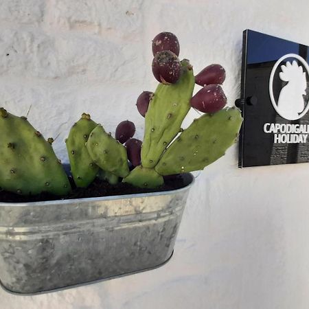 Capodigallo Holiday Trullo Monte Santo Алберобело Екстериор снимка